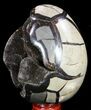 Septarian Dragon Egg Geode - Black Crystals #57424-1